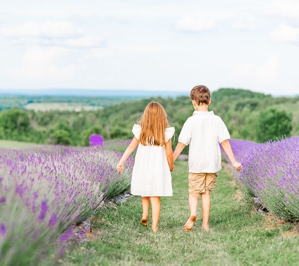 Children holding hands walking through lavender field.