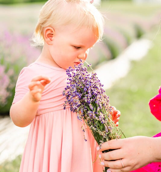 Little girl smelling a bunch of lavender flowers.