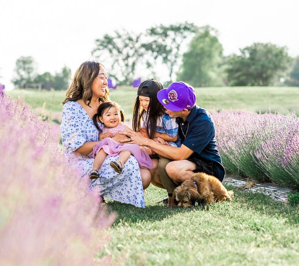 Family sitting together in a lavender field with their dog.